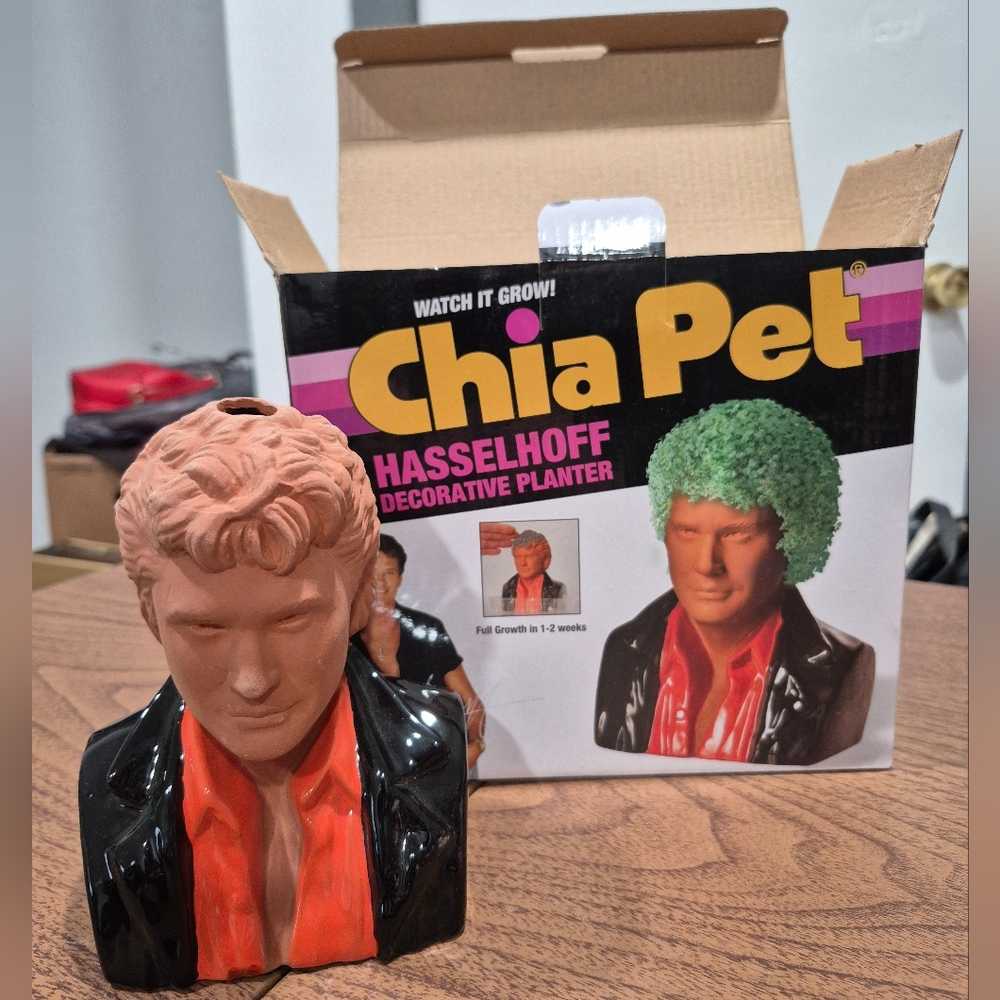 NIB David Hasselhoff Chia Pet